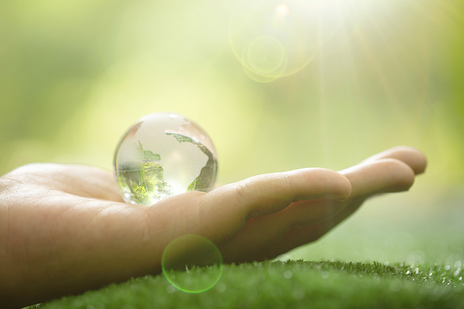 Développement durable chez Cartonnages de Gascogne à Condom